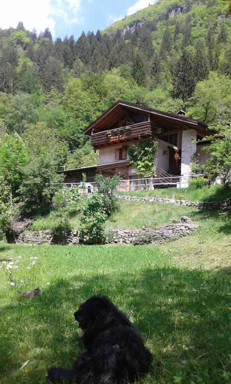 B&B Villa Ca'Praja 다오네 외부 사진